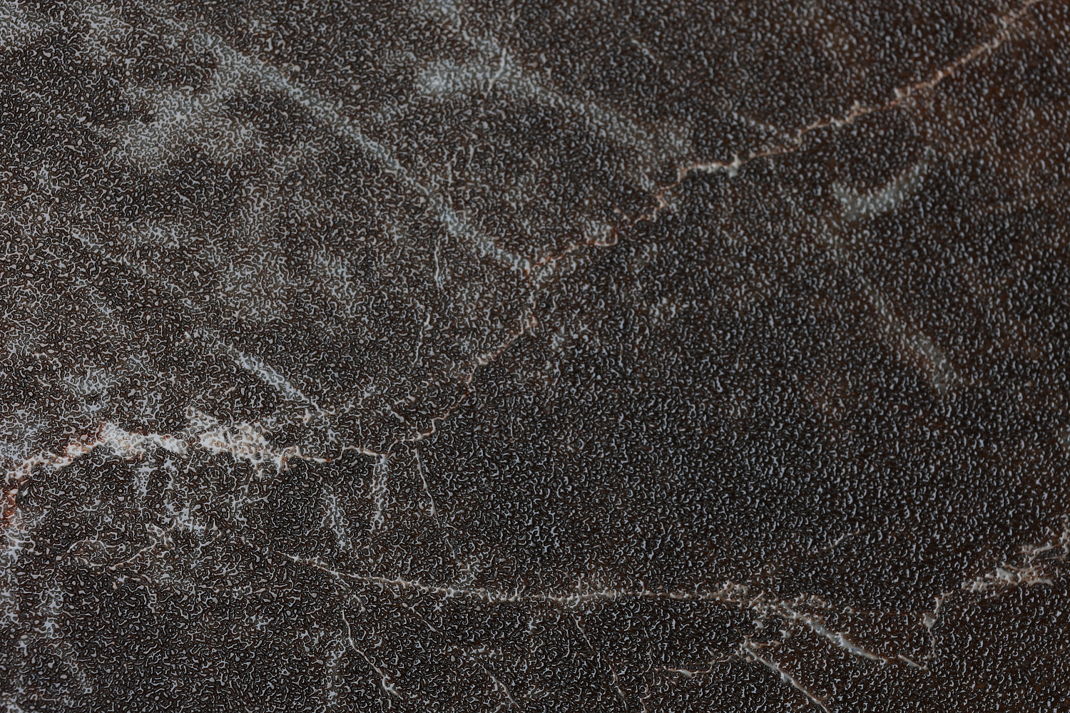  Alice Gold Grey sugar 60x120