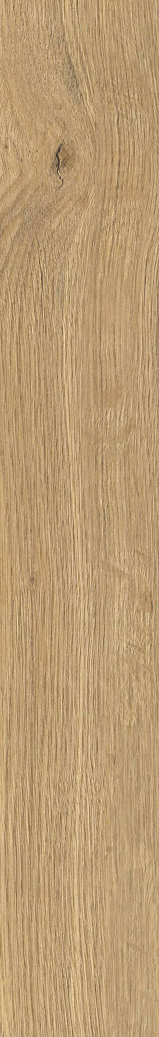   SGR29 Aurevia Gold 9,2x60 (0,6)