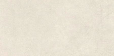   SandBark Слоновая Кость МатR10B 60x120 (1,44) 