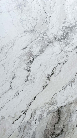  Rock Penguin White Carving 80x160 (2,56) 