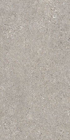 MANHATTAN GREY AS/60X120X0,9/C/R 