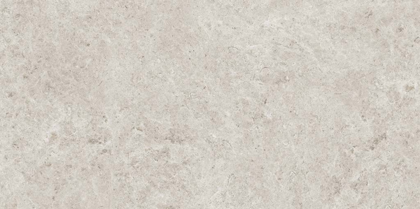 SEASHELL NATURAL R10 CARVING 60x120x0,9 (1,44м/2шт) 