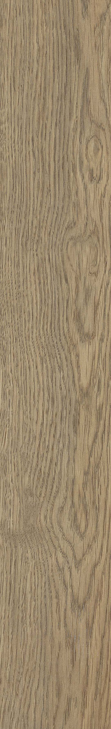   SGR49 Velaris Beige 9,2x60 (0,6)