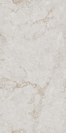  Infinity Venon Bone Endless Carving 80x160 (2,56) 