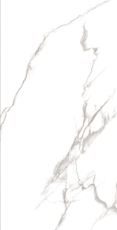  Athens Polished Gold Carving 60x120 