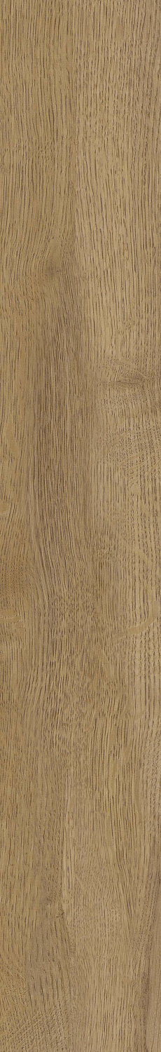   SGR51 Velaris Honey 9,2x60 (0,6)