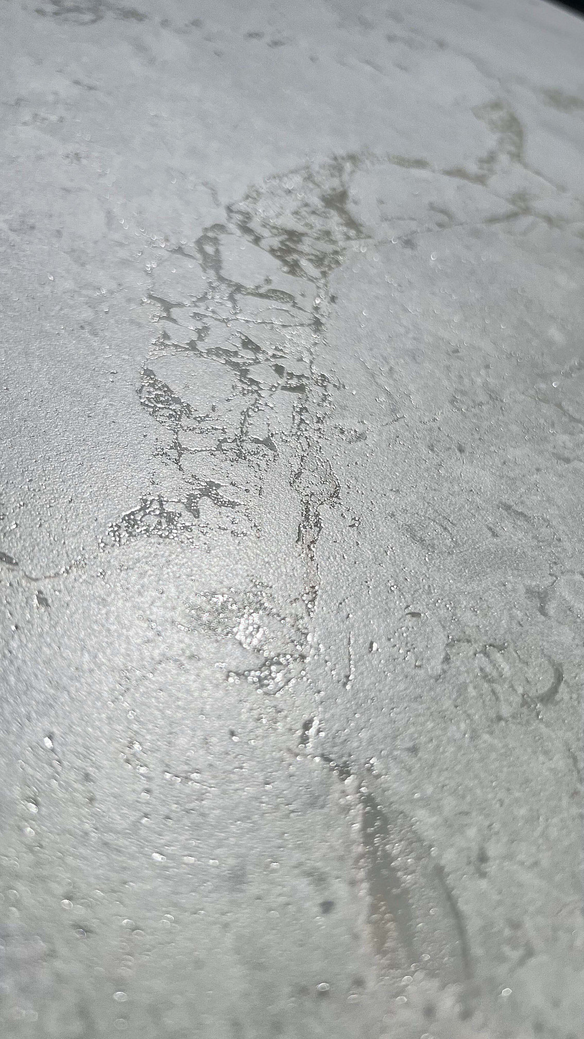  Infinity Venon Dove Endless Carving 80x160 (2,56)