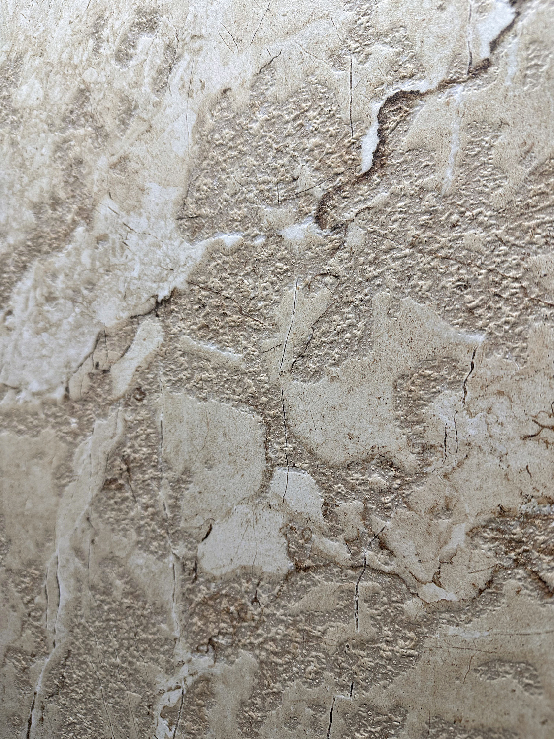  Amazon Beige Shapetouch 60х120 (1,44)