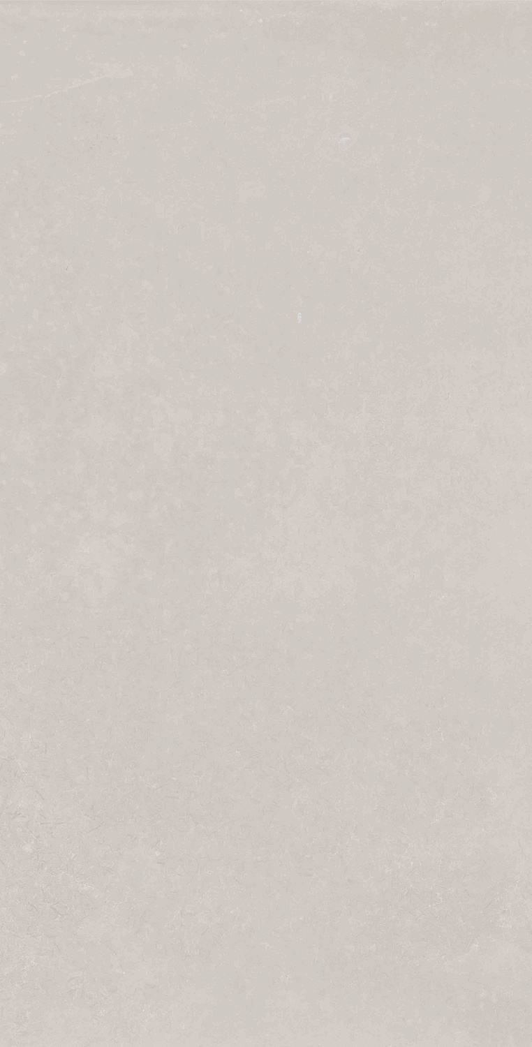 Плитка Mon Silver Garden 30х60