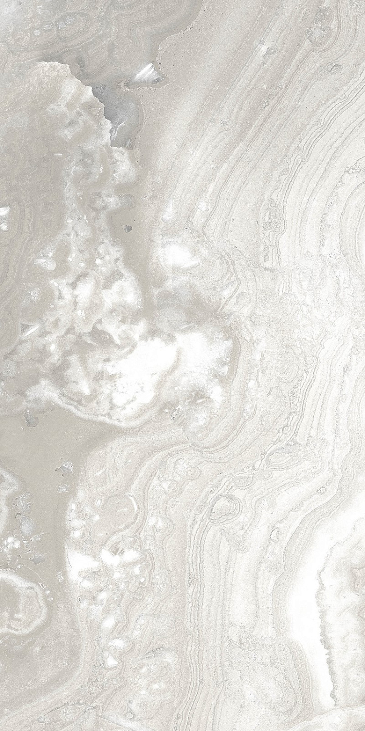  Effecto Grey Polished 60x120