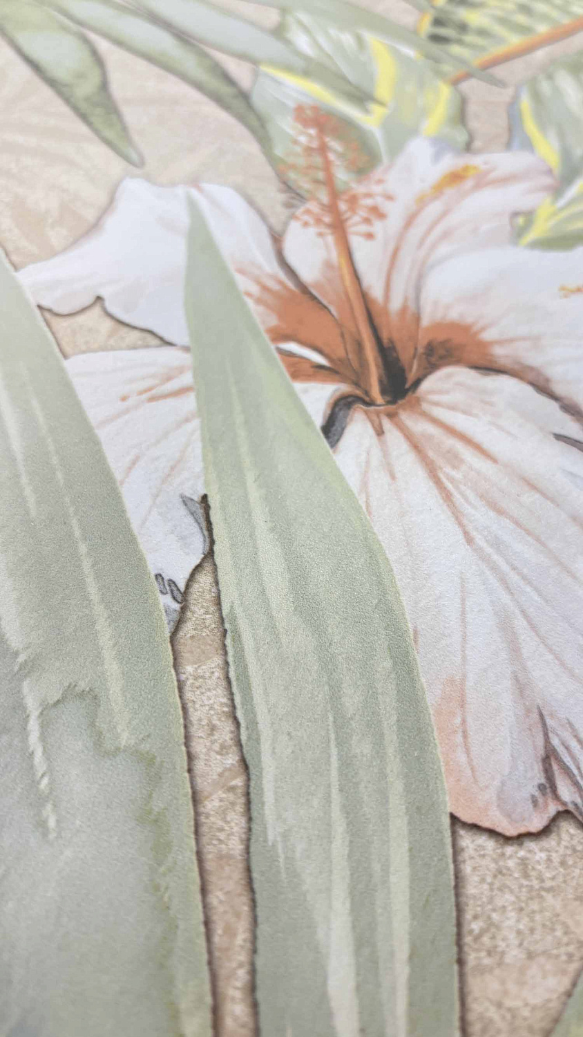  Cosera Ivory Decor Matt 60x120