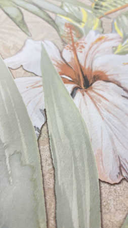  Cosera Ivory Decor Matt 60x120 