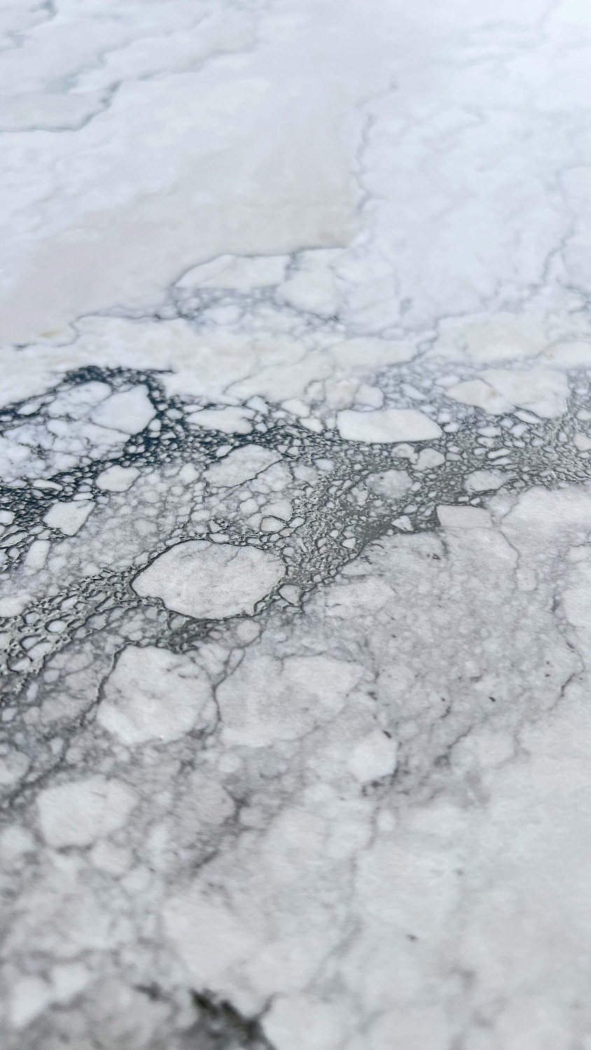  Rock Penguin White Carving 80x160 (2,56)