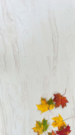 Керамогранит Realistik RS Brizzo Ivory Carving 60x120 