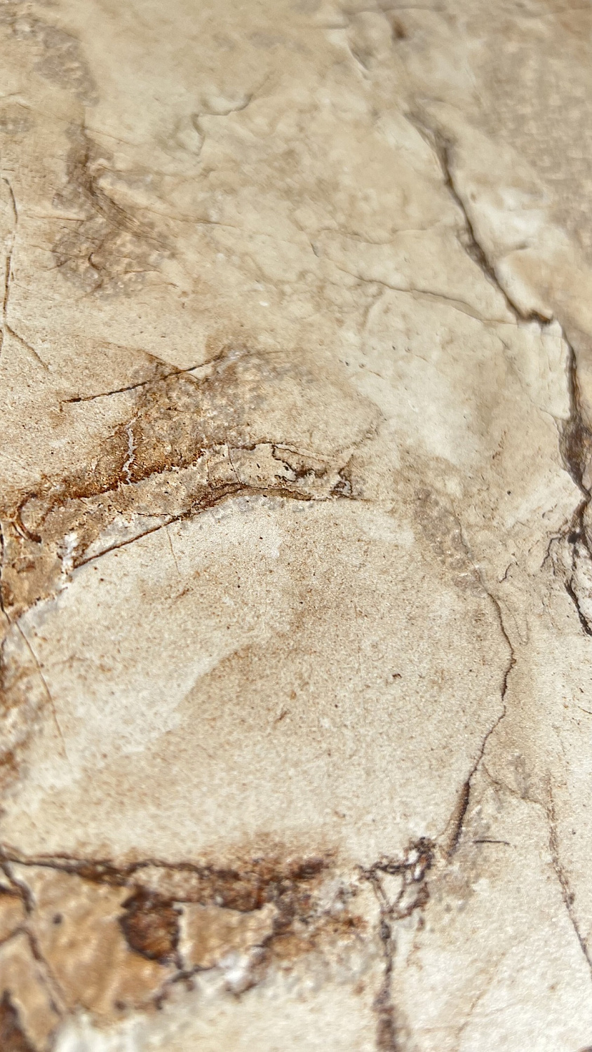  Amazon Beige Shapetouch 60х120 (1,44)