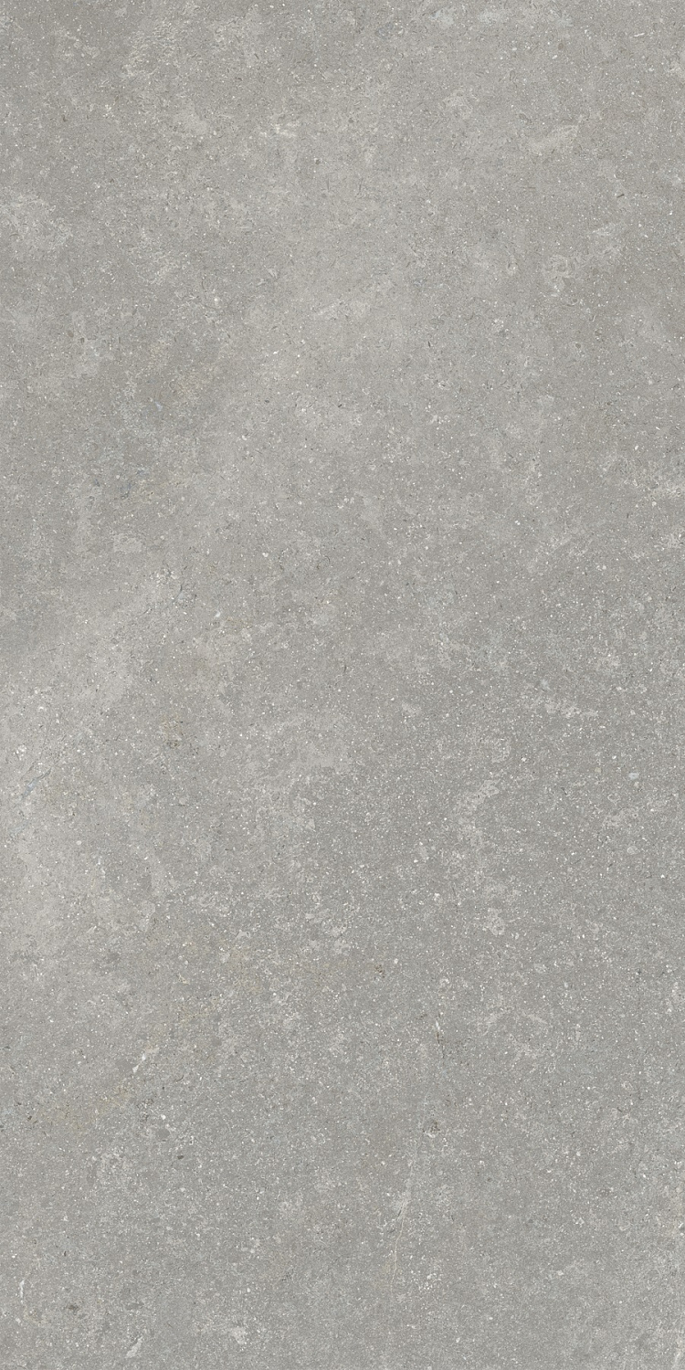 Sandstone Серый Матовый R10a 60x120