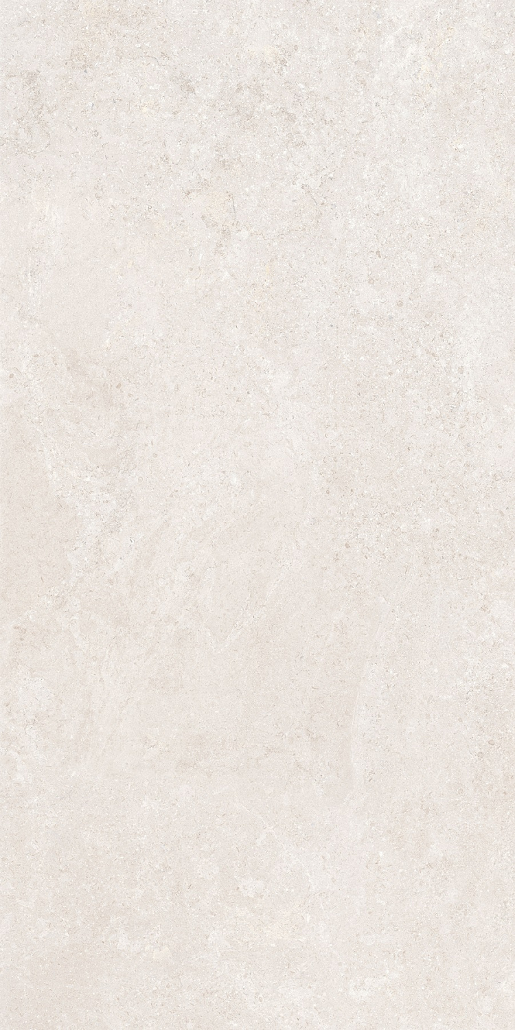   SandStone Белый МатR10A 60x120 (1,44)