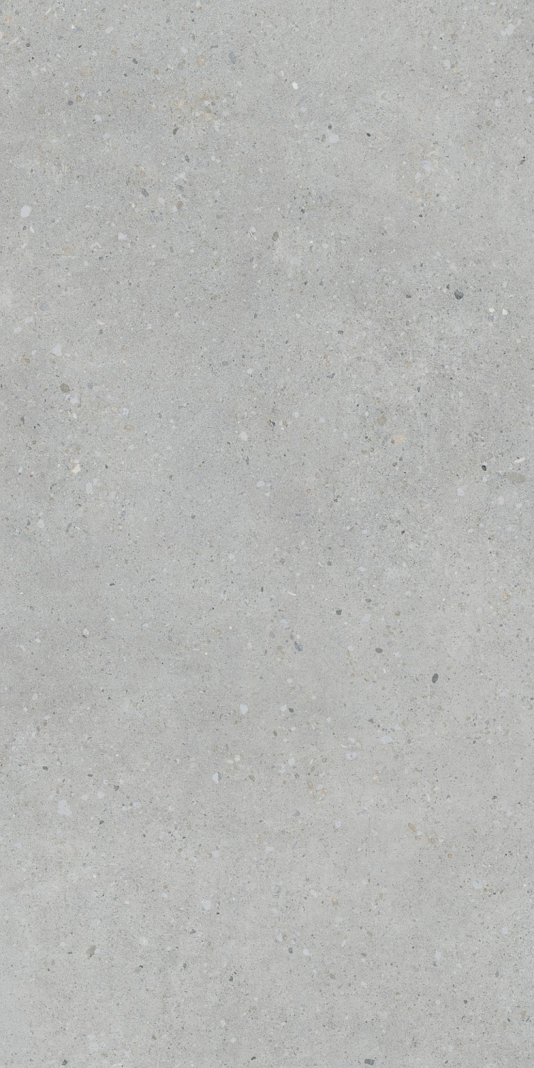   FlakeCement Серый МатR10A 60x120