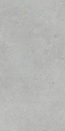   FlakeCement Серый МатR10A 60x120 