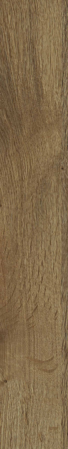   SGR30 Aurevia Honey 9,2x60 (0,6)