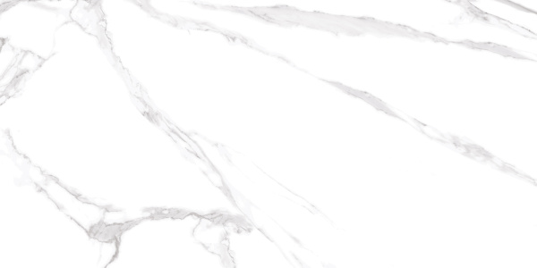  Albeta Statuario 60x120 