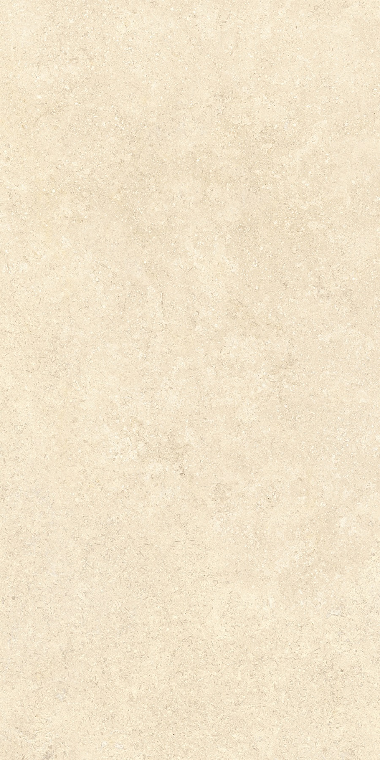   SandStone Песочный МатR10A 60x120 (1,44)