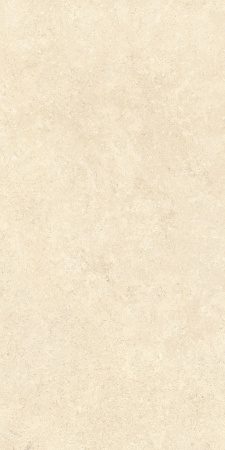   SandStone Песочный МатR10A 60x120 (1,44) 