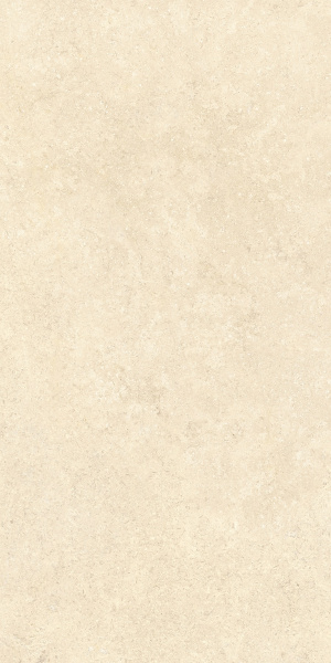   SandStone Песочный МатR10A 60x120 (1,44) 