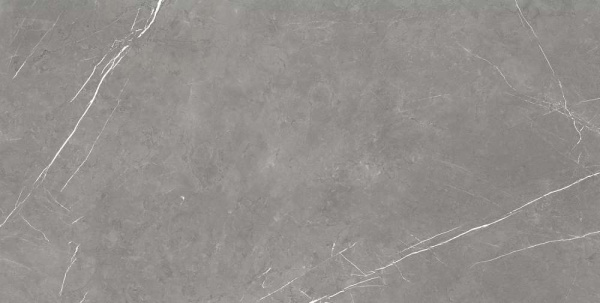 FDM Elegant G. Rett 60x120 Cer/ФДМ Элегант Г. Рет 60Х120 Чер 