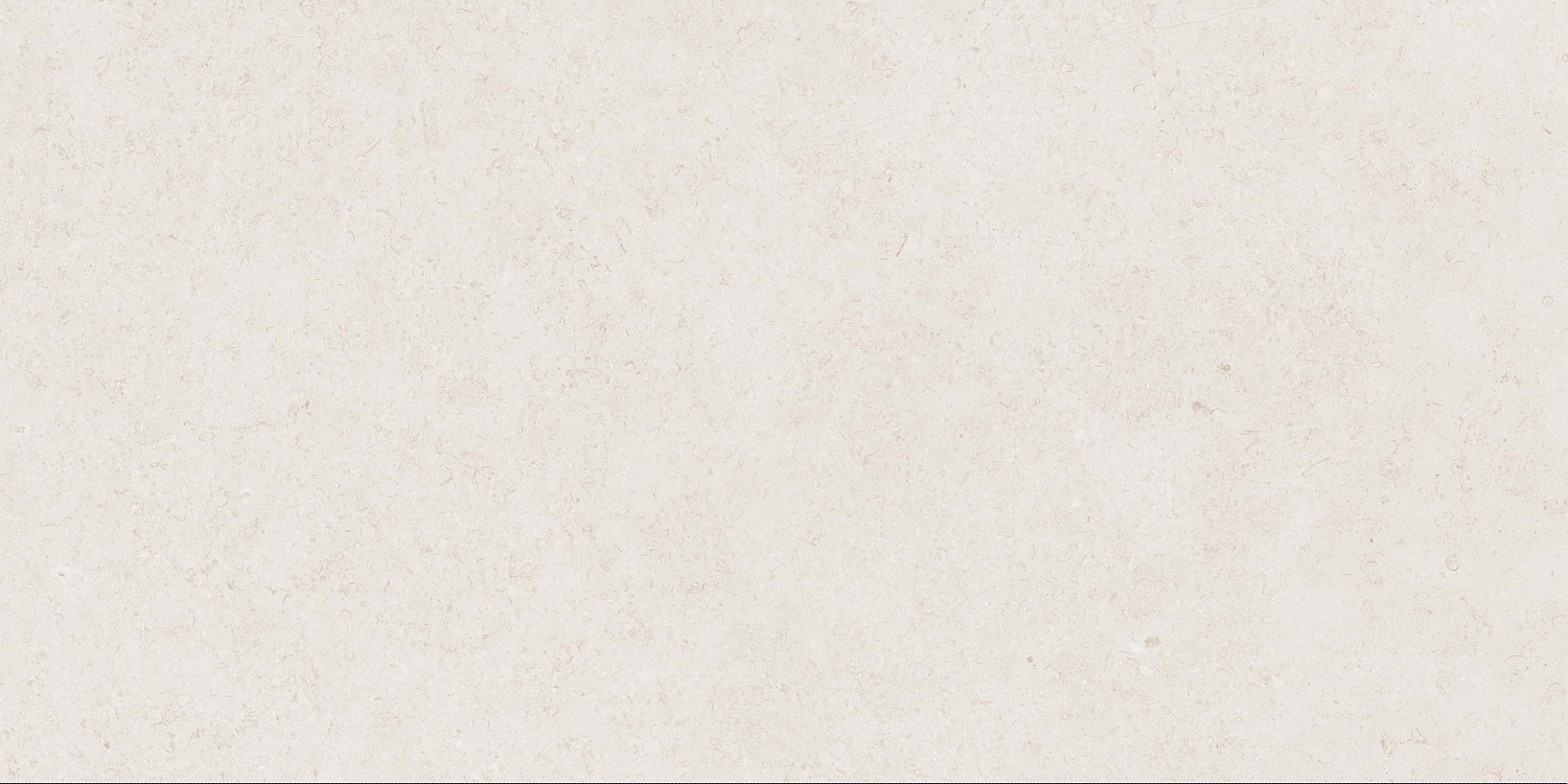  Mistic Light Grey Carving 60x120 (1,44)