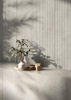 Rigato Decor Cream 60x120 