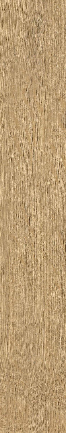   SGR29 Aurevia Gold 9,2x60 (0,6)