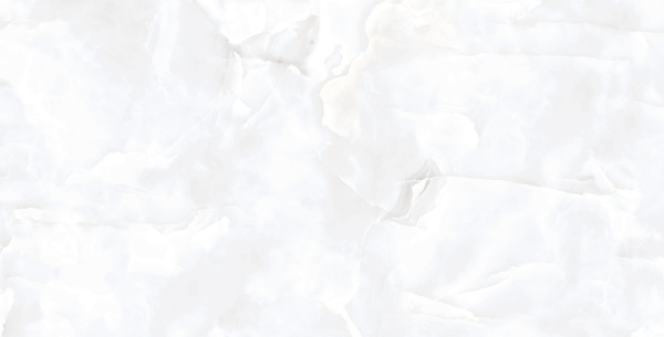  Coin White Glossy 60x120 