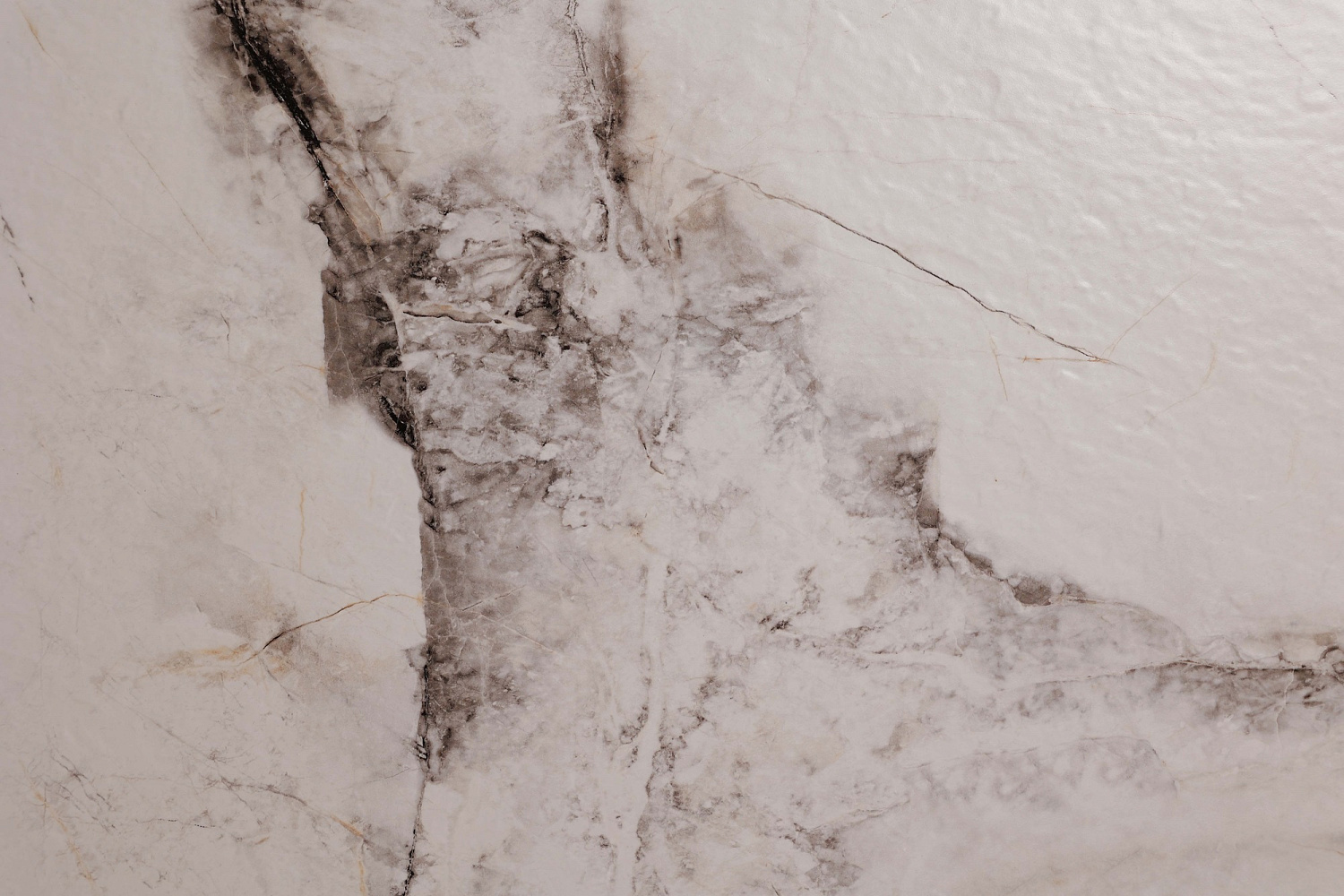  Cleo White Stonelo Carving 60x120