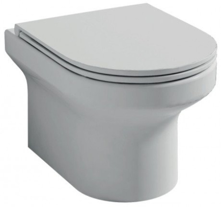 EDX114RU-00 Elite Rimless подвесной унитаз в комплекте с тонким сиденьем, креплениями, розовая уп. 