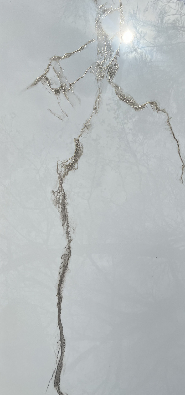  Athens Polished Gold Carving 60x120