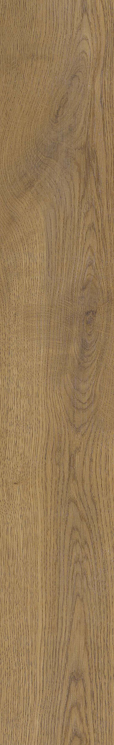   SGR51 Velaris Honey 9,2x60 (0,6)