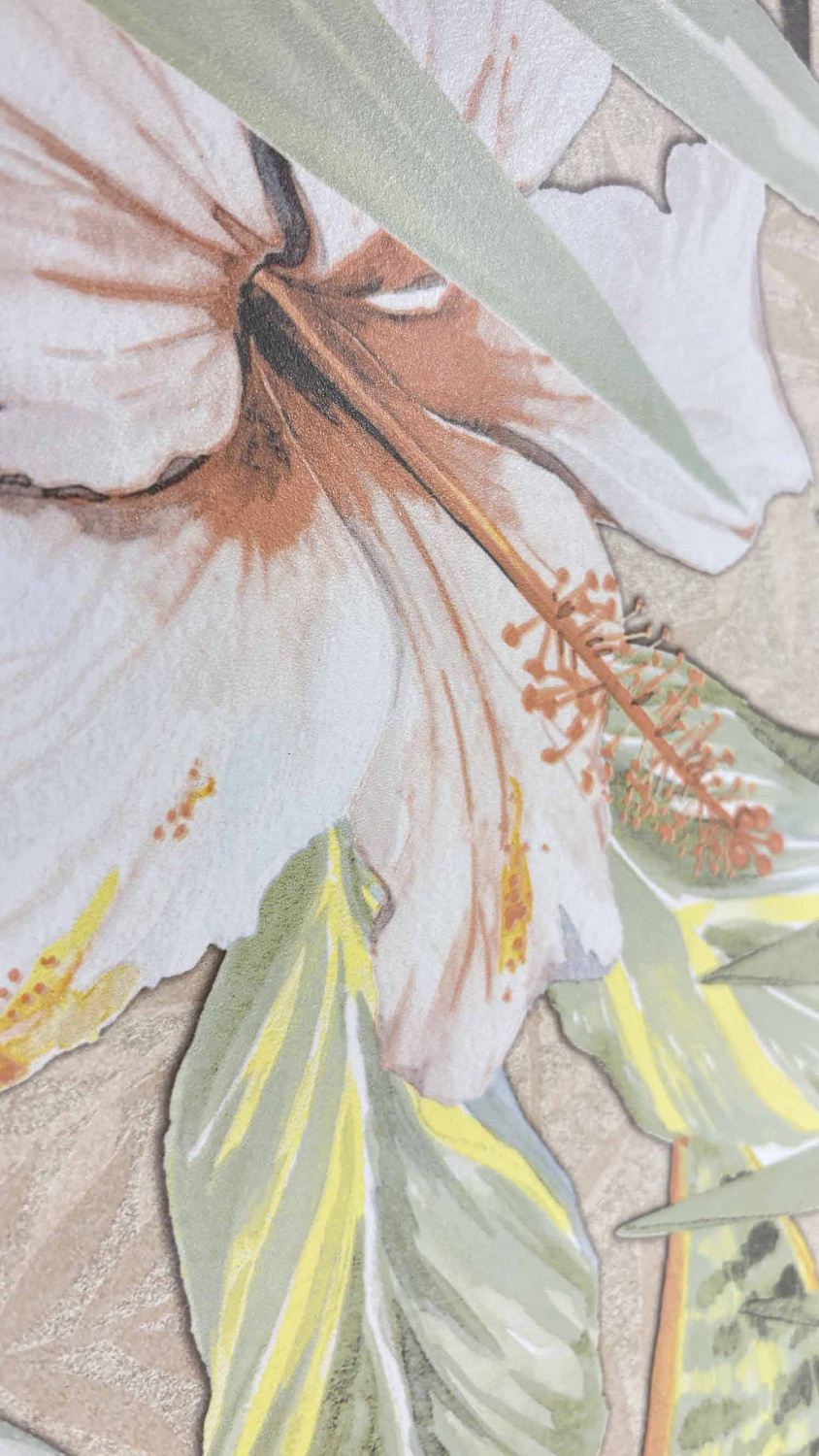  Cosera Ivory Decor Matt 60x120