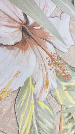  Cosera Ivory Decor Matt 60x120 