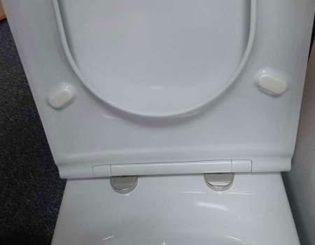 UJAB102-00 RODIN Чаша напольного унитаза с креплениями 