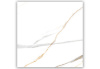  Maritaca Statuario Glossy 60x60