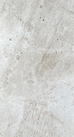  Rock Dorlin Grey Carving 60x120 