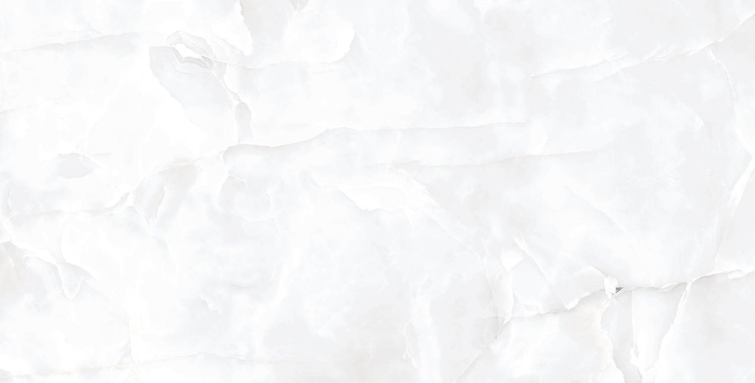  Coin White Glossy 60x120