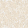  Imperatore Beige Polished 60x60 