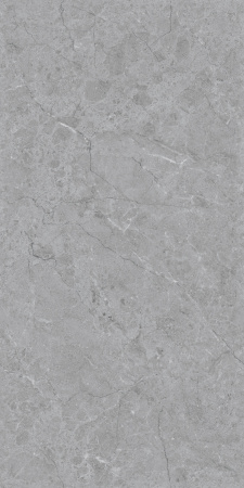 Керамогранит Realistik Refine Grey Expo Matt Carving 60x120 