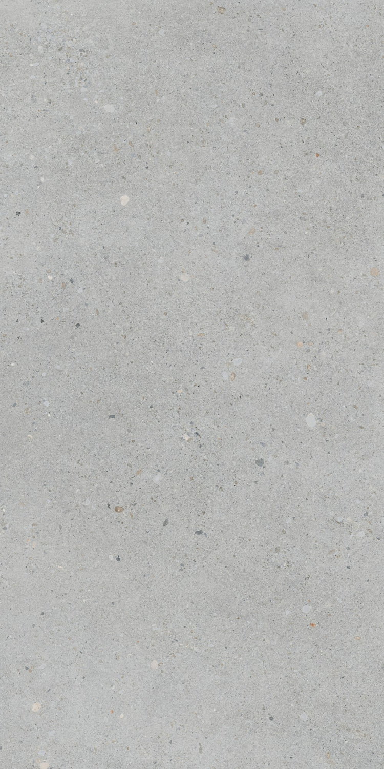   FlakeCement Серый МатR10A 60x120