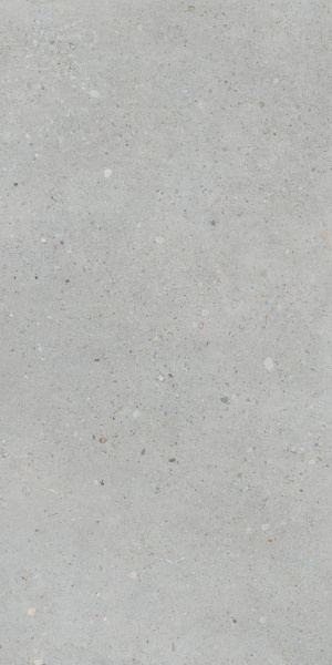   FlakeCement Серый МатR10A 60x120 (1,44) 