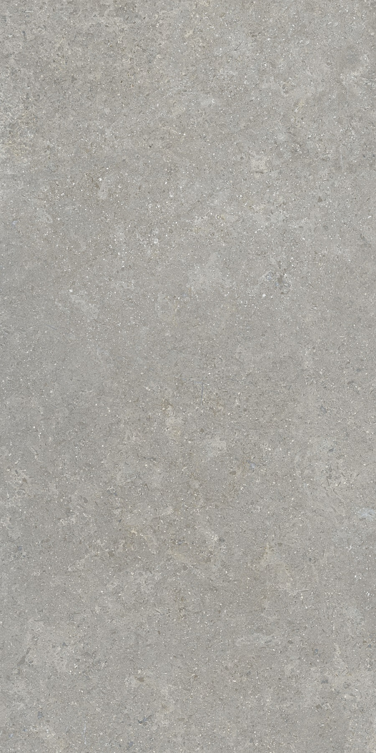 Sandstone Серый Матовый R10a 60x120