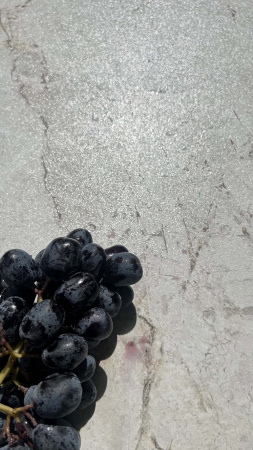  Esme White Sugar Carving 60x120 (1,44) 