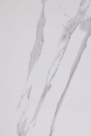  Albeta Statuario 60x120 